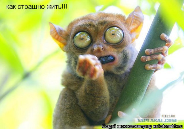 Чёрт, чёрт, чёрт!
