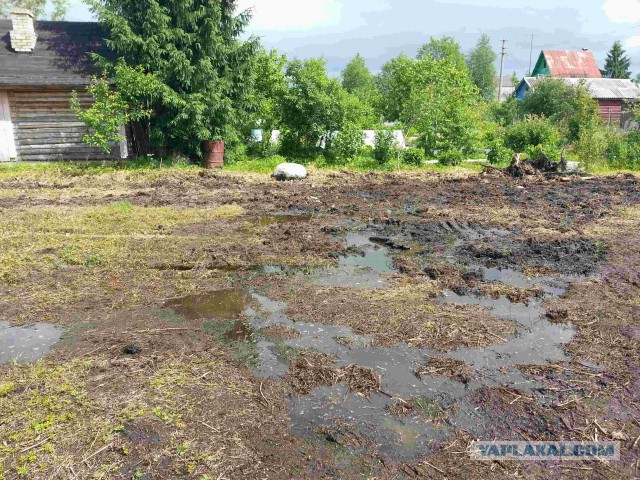 Как мы дачу для свадьбы строили