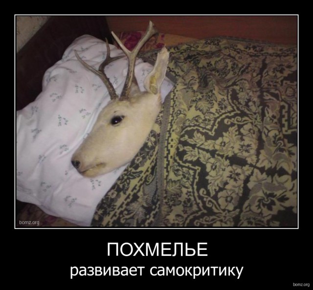 Подборка демотиваторов