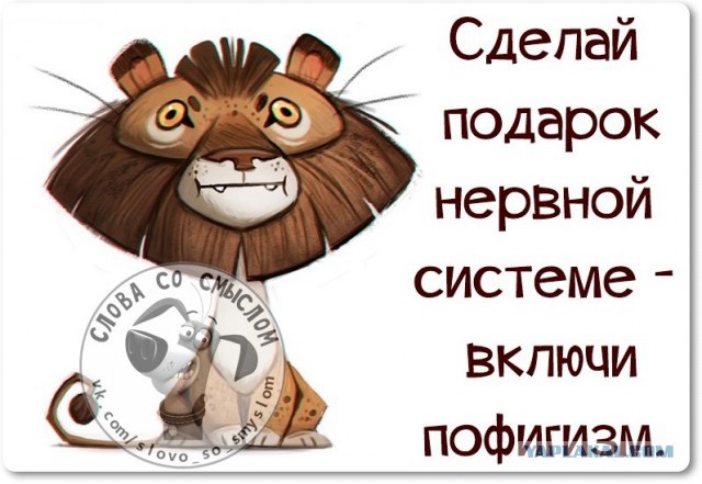 Веселые жизненные наблюдения из Вредного журнала