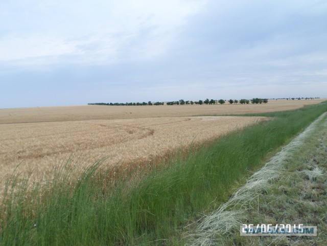 Из Казахстана в Армению через Россию