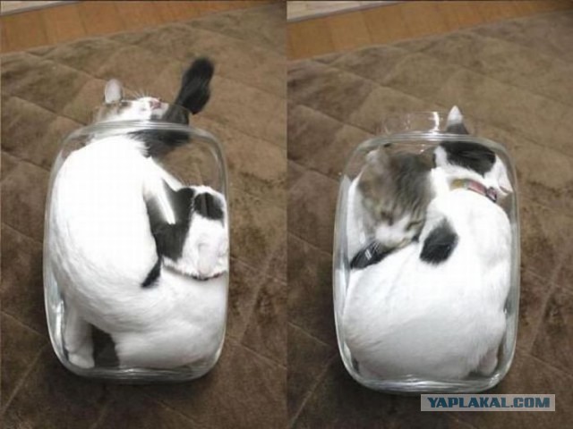 Когда жизнь завела в тупик.