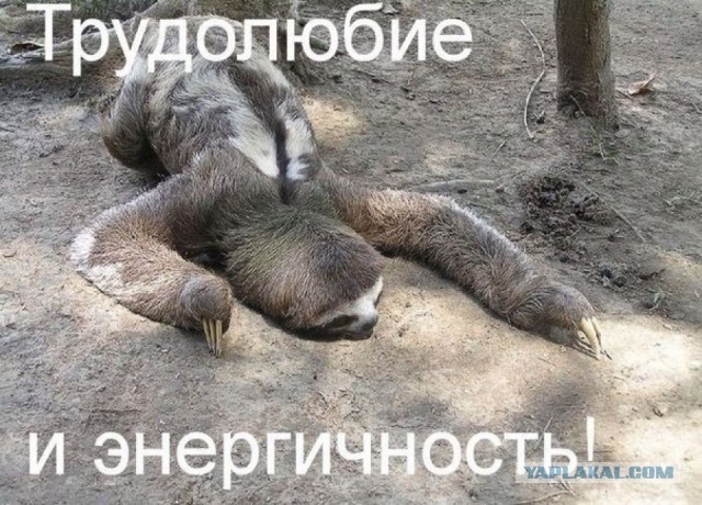 Где все эти женщины?