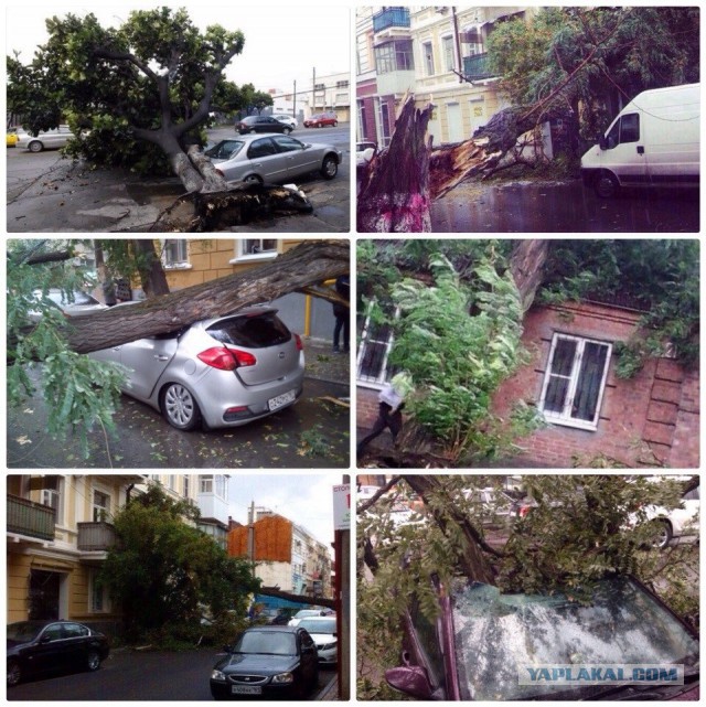 Последствия сильного ветра 3.10.2015