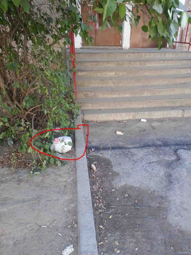 - Я хозяин, ЧЁ хАчу то и делаю.