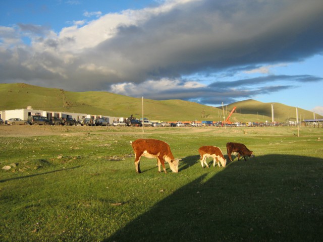 Путешествие по Монголии