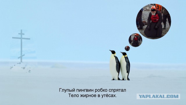 А у нас гости — II или ЯП быстрее телевизора!