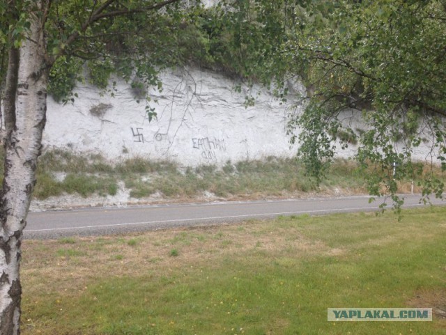 Наши там. Новая Зеландия: «Я думал, мне 33 года, куда я попал?»