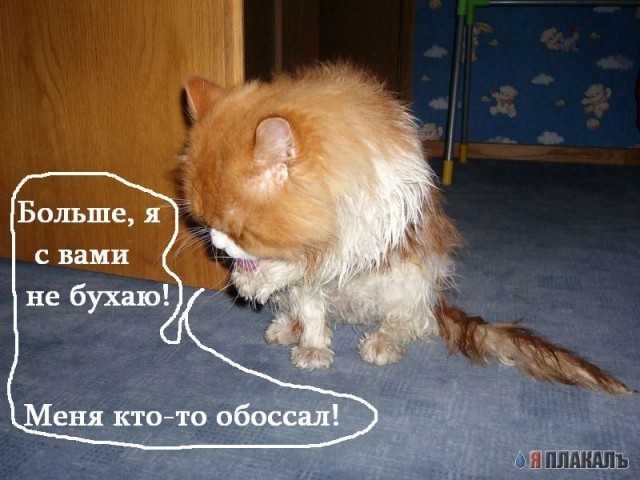 Кашак
