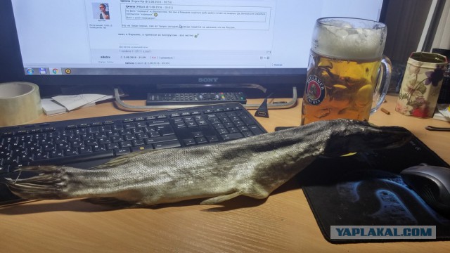 5 августа - международный день пива