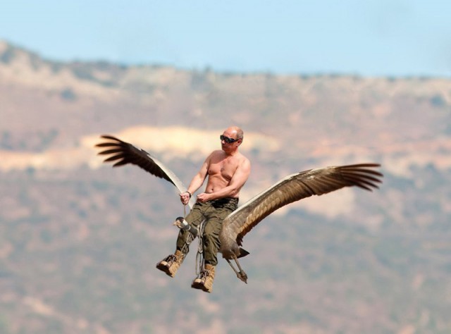 Ирландский боксер написал Путину
