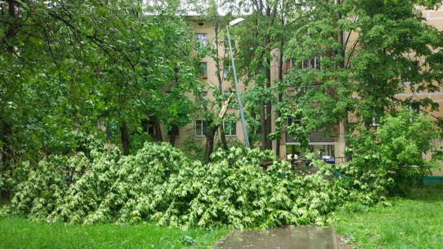 В Москве ураган!