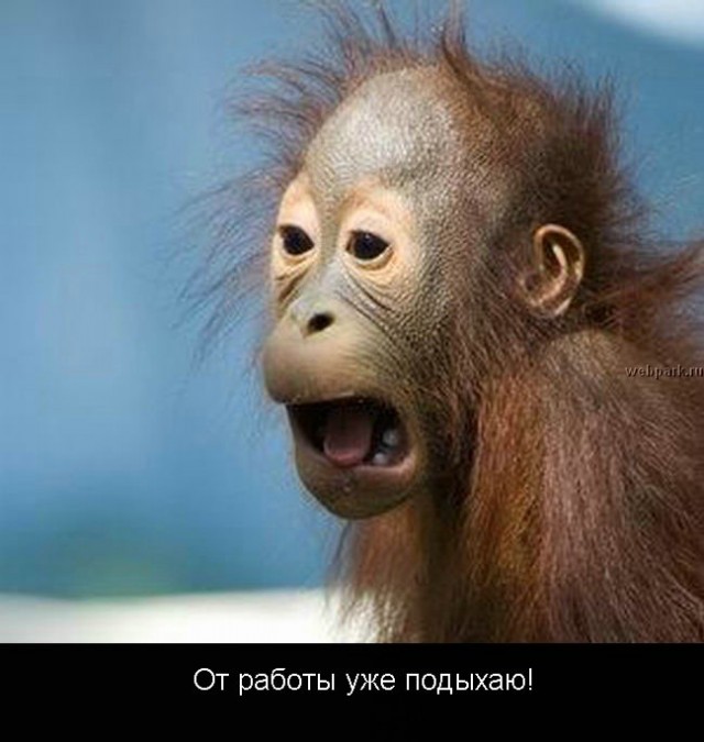 Суббота - рабский день!