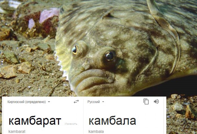 Сын светской львицы, «хамки на мерседесе», кидал милостыню детям-«нищебродам». Дело закончилось дракой