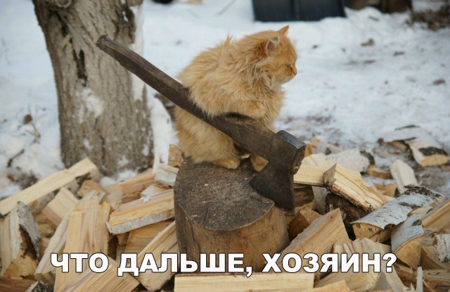 Нестандартный юмор