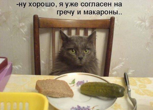 Подслушано, "Пошлое" 16+