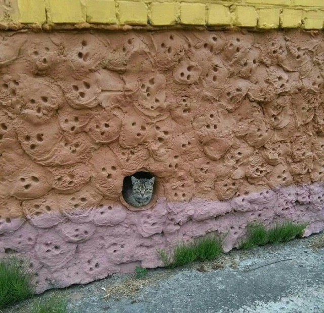 Немного милоты