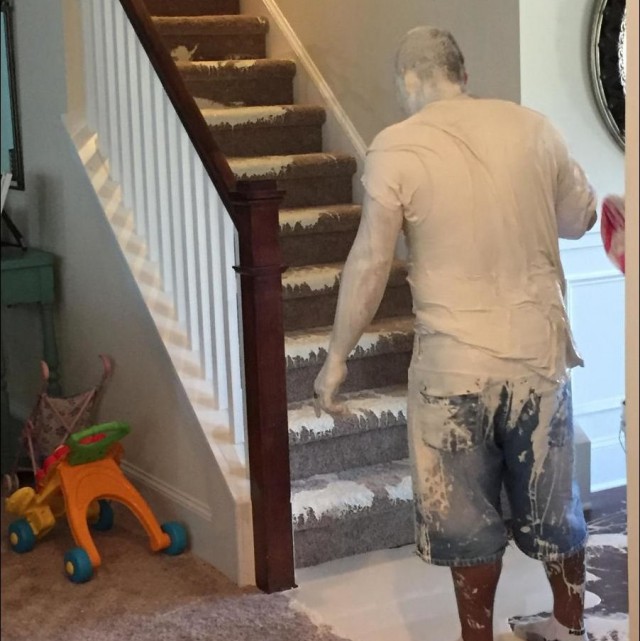 Лента прикольных картинок