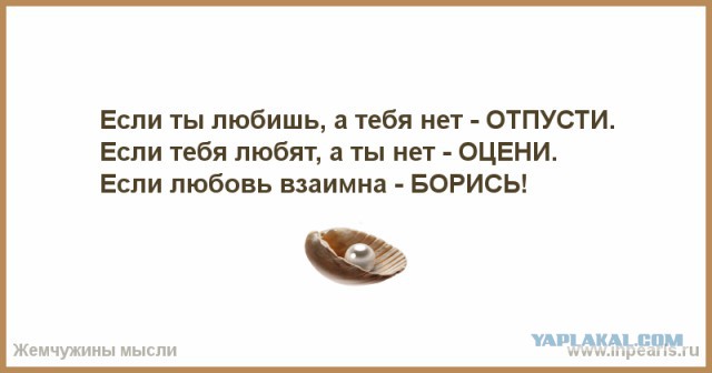 Любовь-морковь