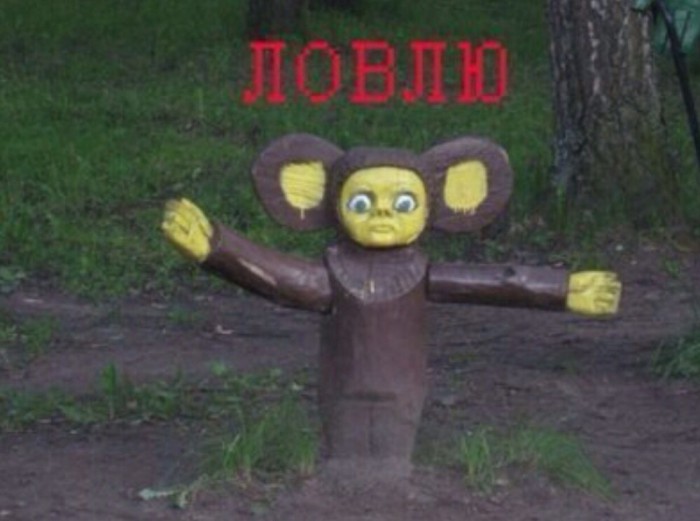 Как правильно собирать грибы