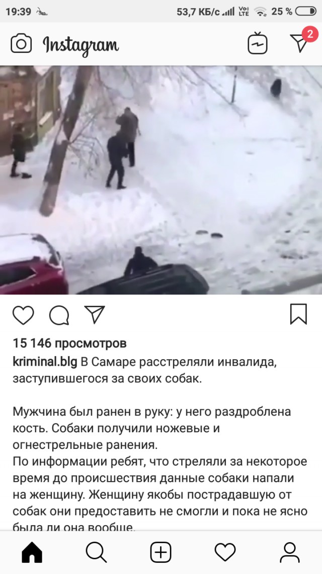 В Самаре стая бродячих собак напала на девушку, это увидели парни на машине и решили не проезжать мимо