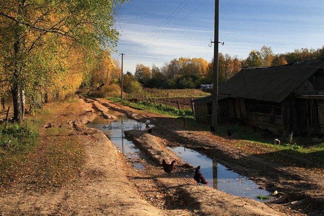 Красота сельских дорог