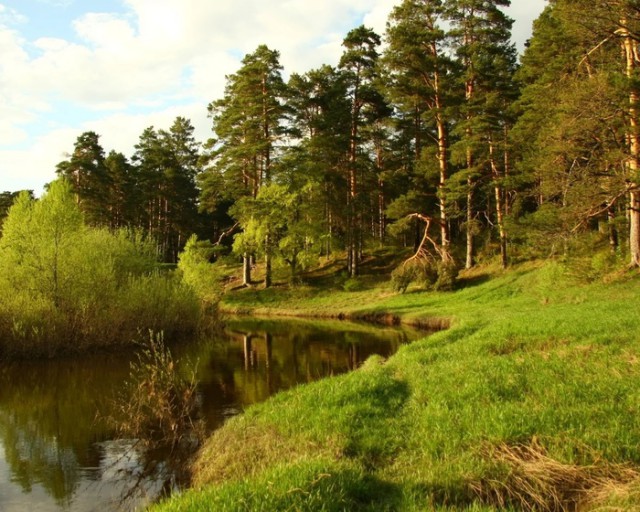 Каникулы в деревне