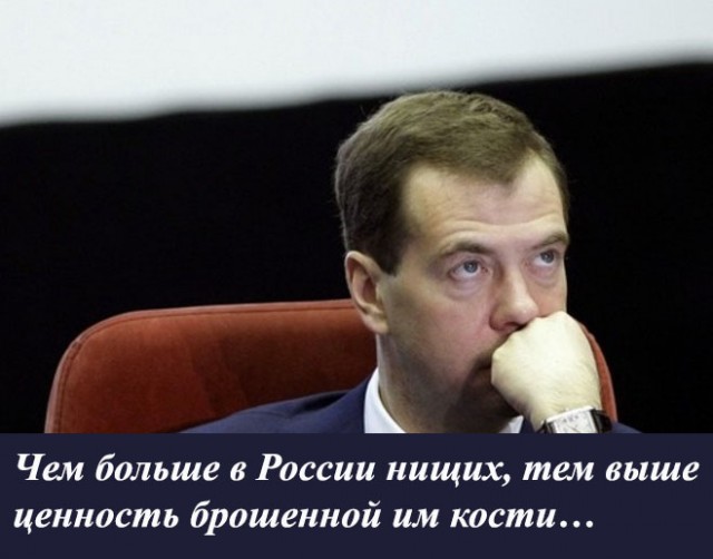 Ни газа, ни нефти, ни леса, ни Путина...