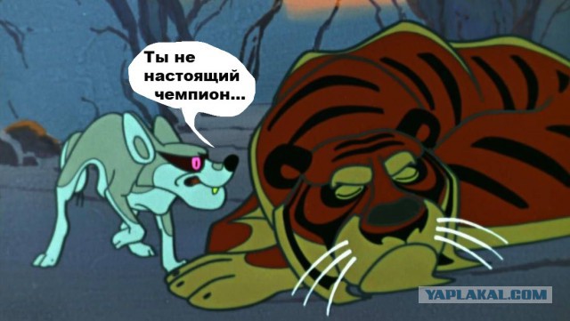 Тактаров жестко ответил отцу Хабиба: «Это тот фундамент, на котором вы, собаки, выросли»
