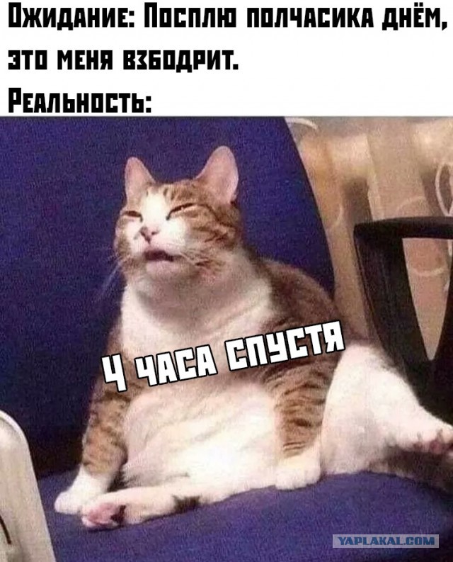 Бредзона 10.11.19