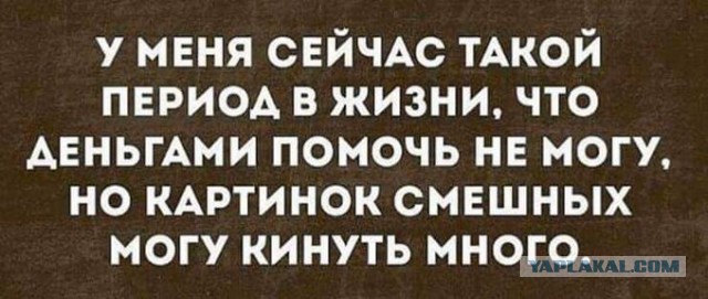 Забавные шутки, картинки и фразы из этих ваших интернетов