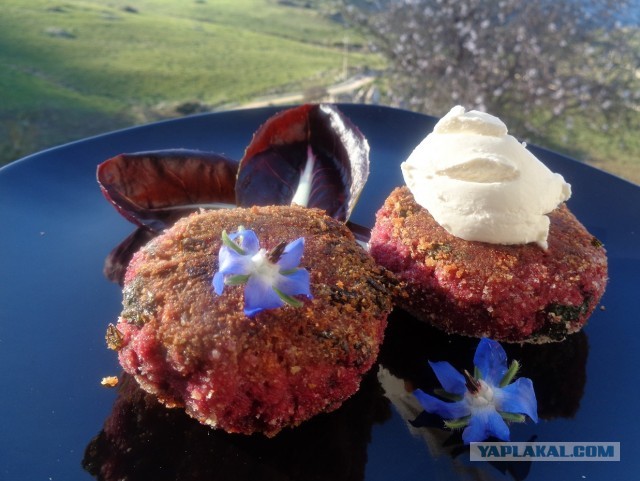 Борщ-хлеб и другие агрегатные состояния борща.