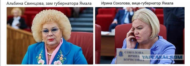 Неизвестные напали на подмосковный дом замгубернатора