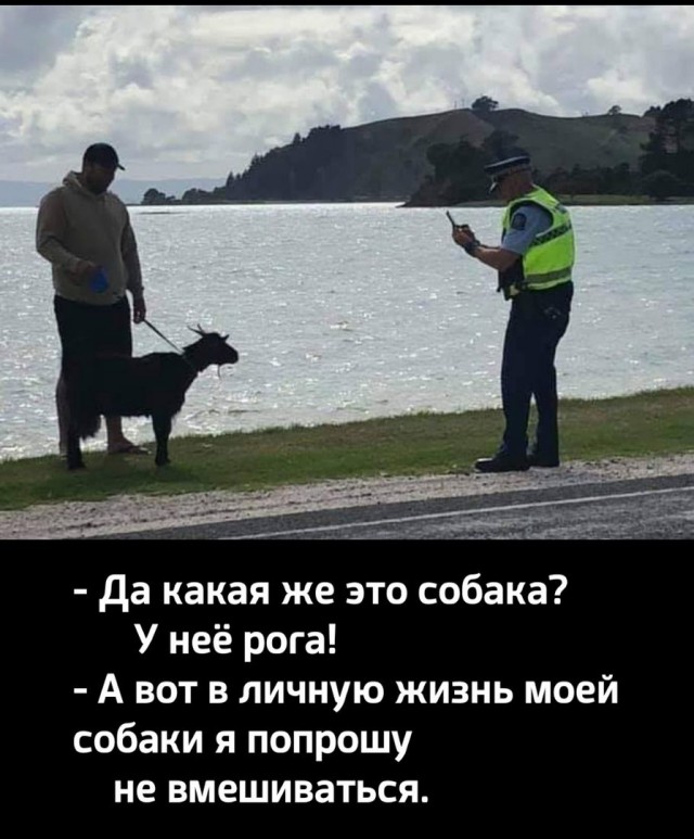 В Норильске мужик пытается гулять с котом