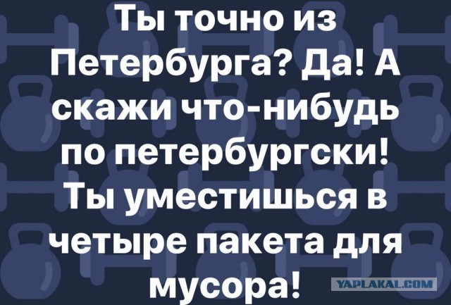 Винишко-тян на вписке под Питером перерезала парню горло.
