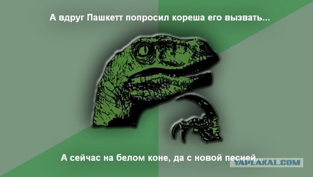 Друг! я принимаю твой вызов! Послушай мою новую песню! (Пашкетт)