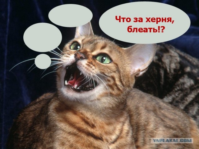 Саечка за испуг