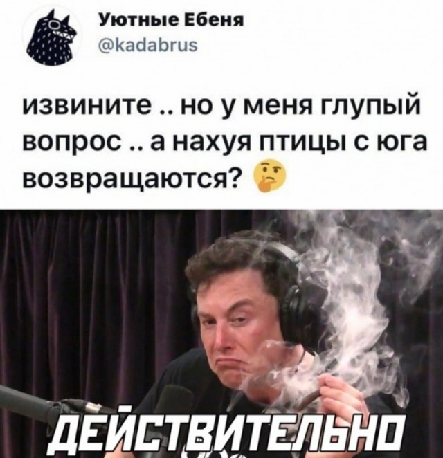 Весёлый полтишок 19.04