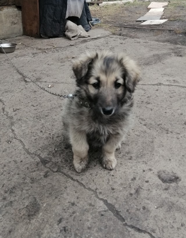 ПозитиФ Чик