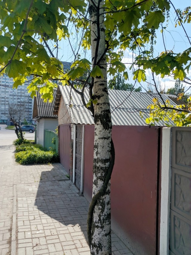 Картинки всякие аморальные - 5