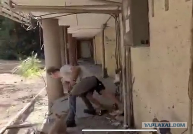 Тем временем в Иране
