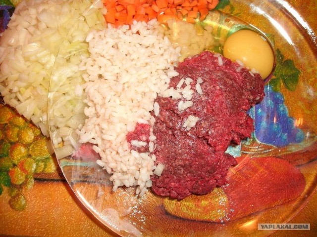 Казакша бар ма?