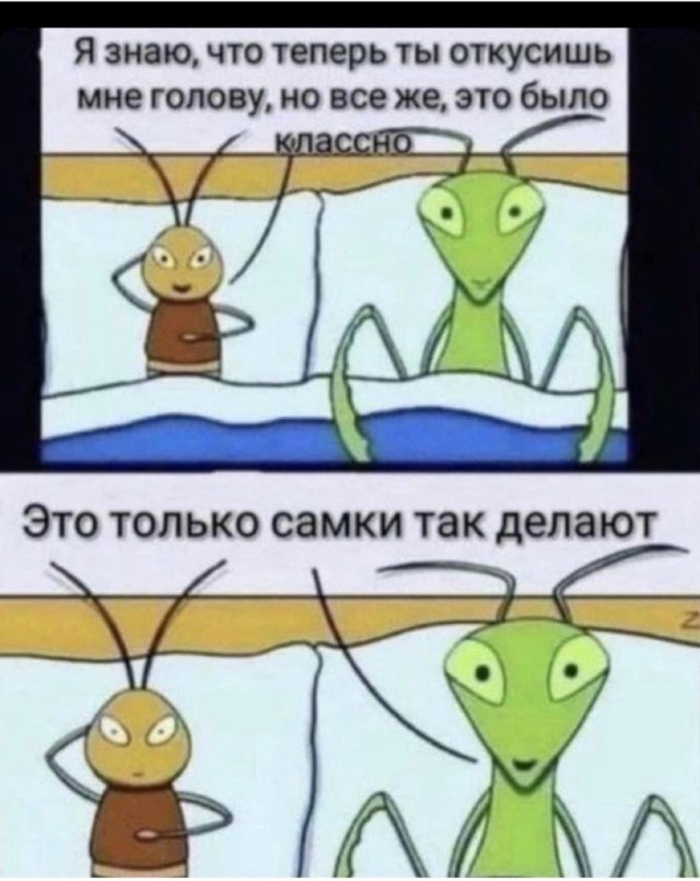 Картинки 12.09.21