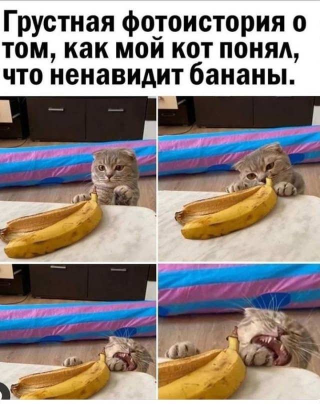 Весёлый полтишок 20.09.