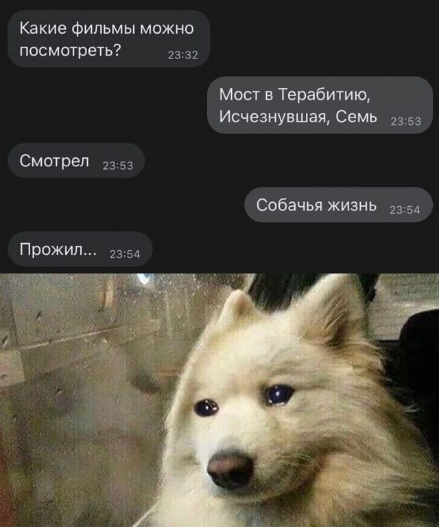 Юмор и прикольные картинки 11.10.2021