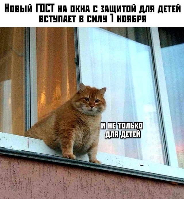 Всяческие картинки 02.11.2021