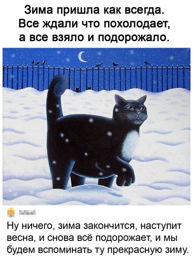 Так себе картинки 15.11.21