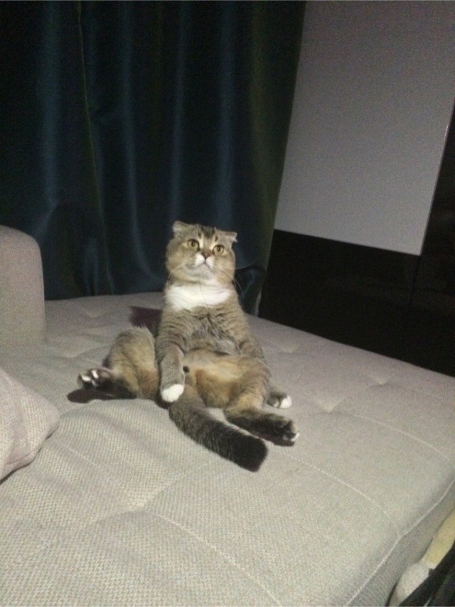 Вторник. Котэ. Пора