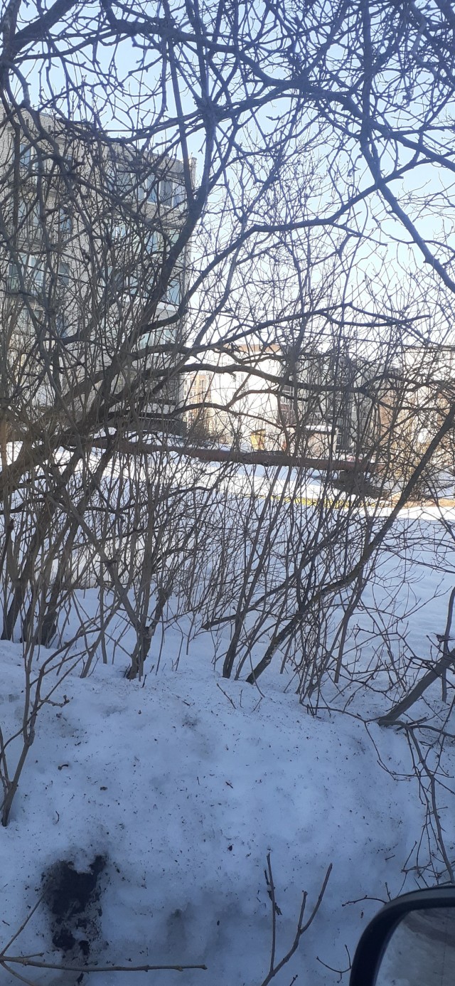 Дамы и Господа! У меня печальные новости