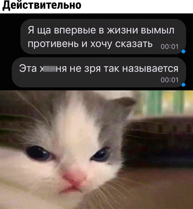 Так себе картинки 07.05.22